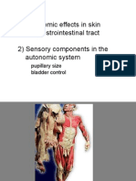 1) Autonomic Effects in Skin and Gastrointestinal Tract 2) Sensory Components in The Autonomic System