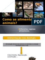 Alimentação