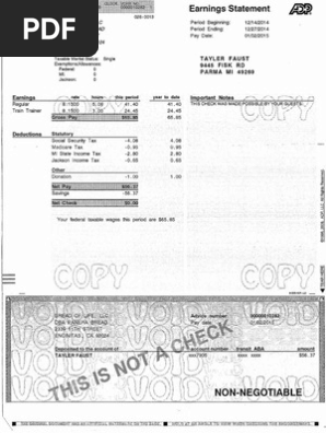 pay stub