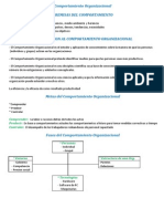 Comportamiento Organizacional PDF