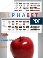 Alphabet (Apple - Cats)