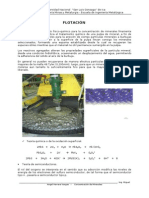 Flotacion de Minerales PDF