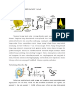 Sistem Reproduksi Biji Kacang Tanah