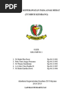 Download Asuhan Keperawatan Pada Anak Sehat by Dek EkaDewi SN257826133 doc pdf