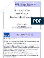 Post-COP15 Business Environment - 20 01 2010 Debate