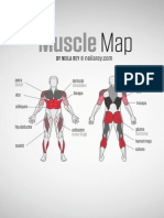 Mapa de La Musculatura Corporal