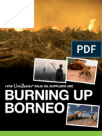 How Unilever Palm Oil Suppliers Are Burning Up Borneo