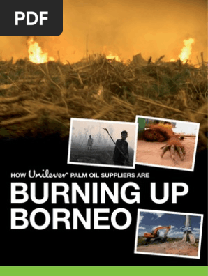 How Unilever Palm Oil Suppliers Are Burning Up Borneo  PDF 
