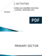 Primary Sector