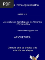 Apicultura Si Albinele Curs (6)