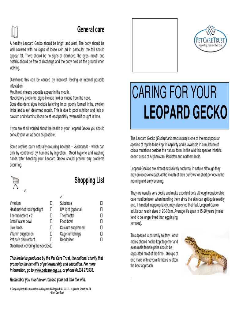Caring for Your Leopard Gecko | Vivarium | Diets