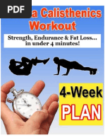 Download Crossfit Tabata Calisthenics Workout by alaberht SN257861037 doc pdf