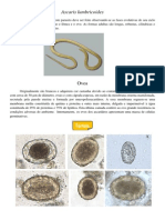 Ascaris Lumbricoides