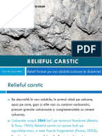 10_23_00_144_Relieful_carstic.pdf