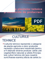 Cultura Plantelor Tehnice Si Industriile de Prelucrare