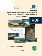 III - Relatorio Modelacao Aguieira