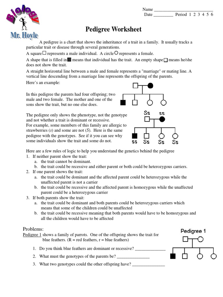 Worksheets Genetics Pedigree Worksheet pdf pedigree worksheet genotype dominance genetics