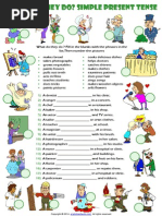 Have To Has To Esl Grammar Exercise Worksheet Pdf