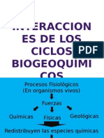 Interacciones de Los Ciclos Biogeoquímicos