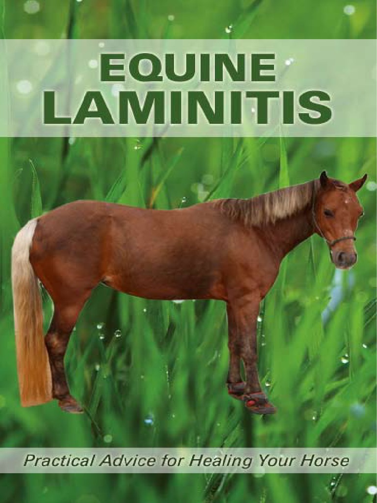 equinelaminitis.pdf Hay Grazing