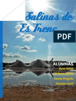 Las Salinas de Es Trenc: flora, fauna y producción de sal