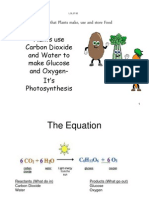 Photosynethesis Powerpoint