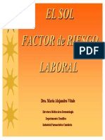 Factor Del Riesgo Laboral
