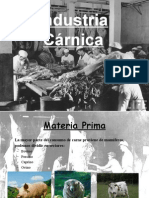 Industria Carnica