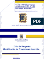 Indentificación Proyecto Incersion