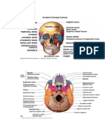 Anatomi Fisiologi Cranium