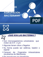 Formas y Agrupacion Bacteriana