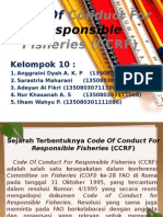 Presentasi HPP (CCRF)