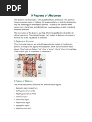 9 Regions Of The Abdomen