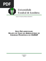 Seio Pré-Auricular_Relato de Caso_2014