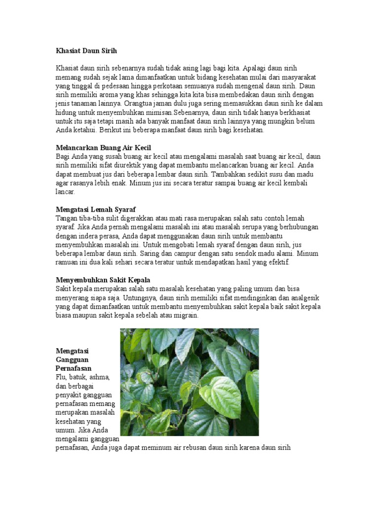 Khasiat Daun Sirih