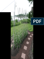 Bamboo Trellises For Web PDF