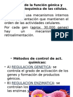 Control de la función génica y actividad bioquímica de las células.