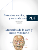 Musculos Arterias y Venas Craneo PDF