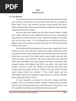 Download Lapsus MH fixdoc by Muhammad Tamlikha SN258014749 doc pdf