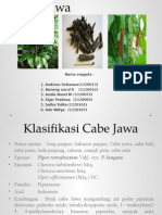 Cabe Jawa 