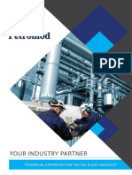 Petromod Capability Brochure