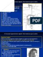 8 Componentele Tubului Digestiv