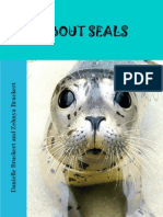 All About Seals