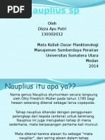 Download Nauplius Sp by Dizza Ayu Putri SN258056174 doc pdf