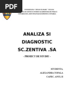 ANALIZA Şi Diagnosticul Firmei