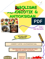 Xenobiotik Antioksidan