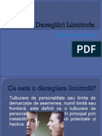 Dereglări Limitrofe 2