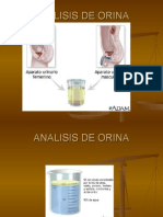 Analisis de Orina