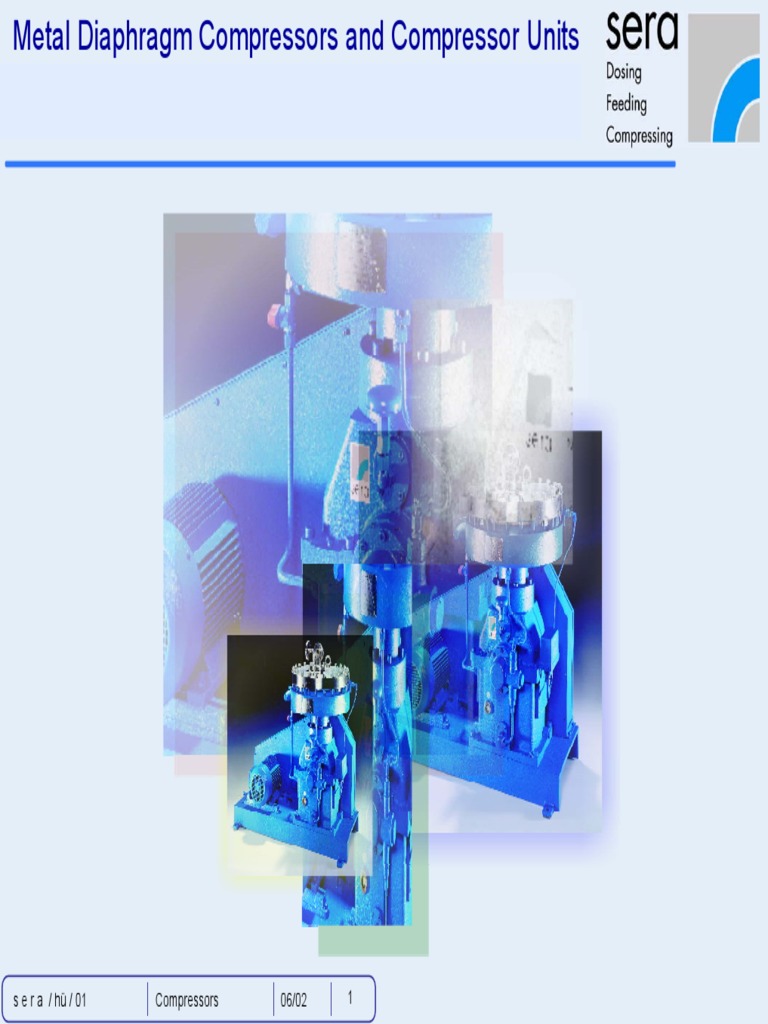 Sera Compressors | PDF | Natural Gas | Gases