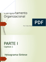 Comportamento Organizacional Capitulo 1 PLT